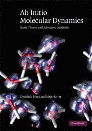 Ab Initio Molecular Dynamics av Dominik Marx, Jürg Hutter, Dominik Marx, Jurg Hutter, Jurg Hutter