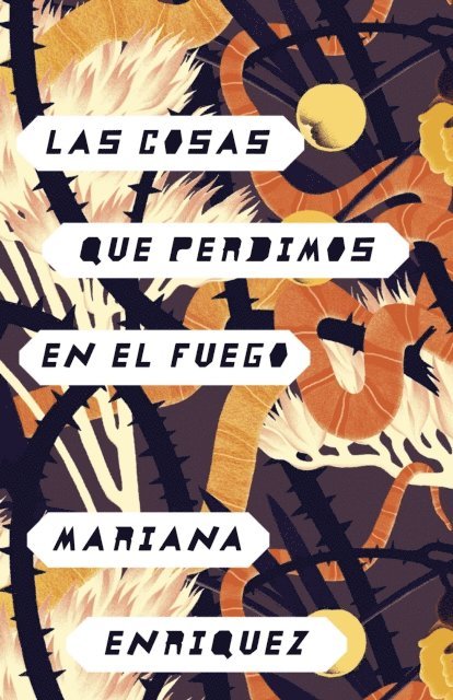 Mariana Enriquez - Lo que perdimos en el fuego, E-bok