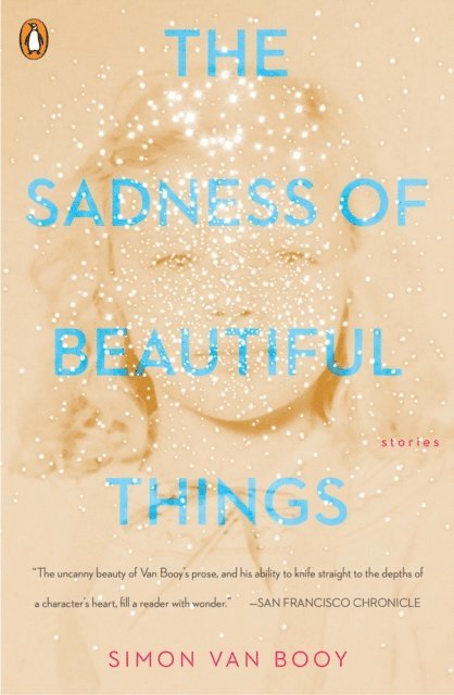 Simon Van Booy - Sadness of Beautiful Things, E-bok