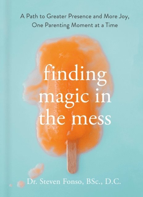 Steven Fonso - Finding Magic in the Mess, E-bok
