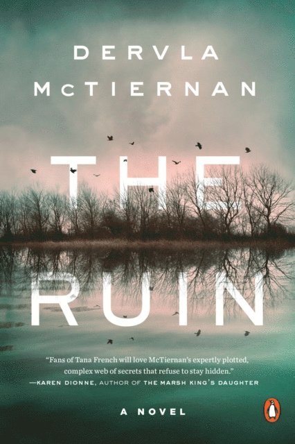 Dervla McTiernan - Ruin, E-bok