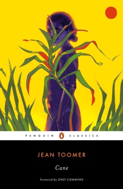 Jean Toomer - Cane, E-bok