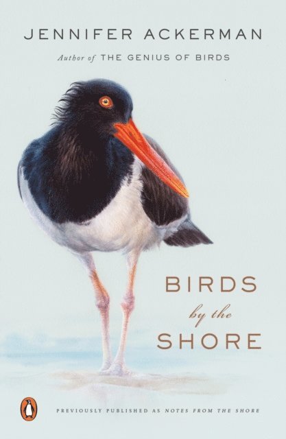 Jennifer Ackerman - Birds by the Shore, E-bok