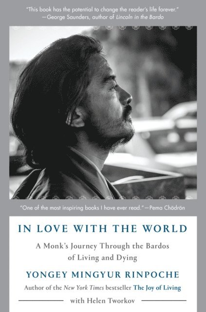 Helen Tworkov, Yongey Mingyur Rinpoche - In Love with the World, E-bok