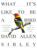 What It's Like to Be a Bird