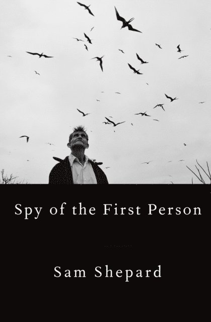 Sam Shepard - Spy of the First Person, E-bok