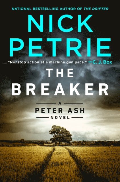 Nick Petrie - Breaker, E-bok