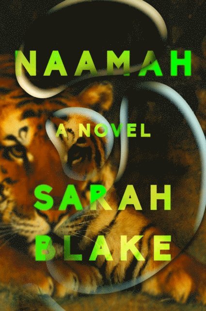 Sarah Blake - Naamah, E-bok