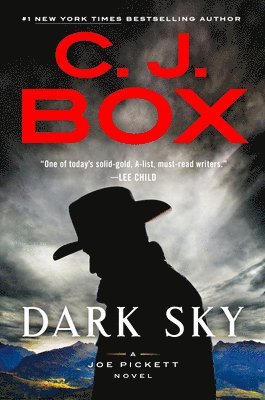 Dark Sky, Inbunden