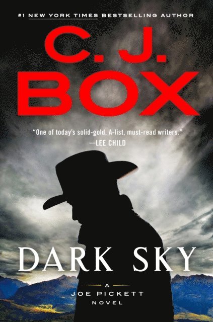 C. J. Box - Dark Sky, E-bok