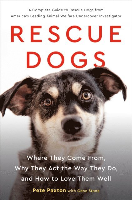 Pete Paxton, Gene Stone - Rescue Dogs, E-bok