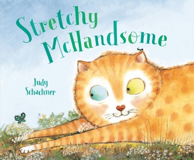 Judy Schachner - Stretchy McHandsome, E-bok