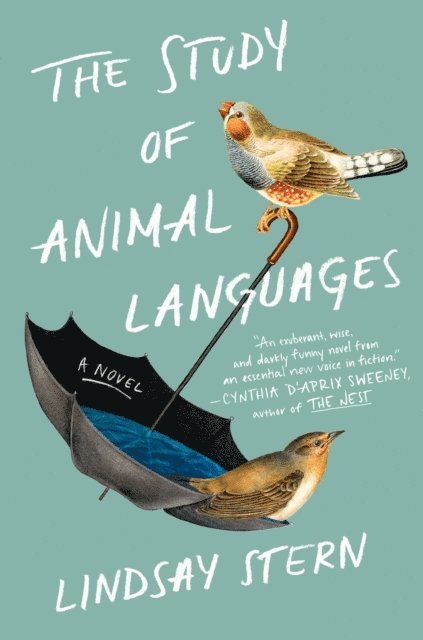 Lindsay Stern - Study of Animal Languages, E-bok