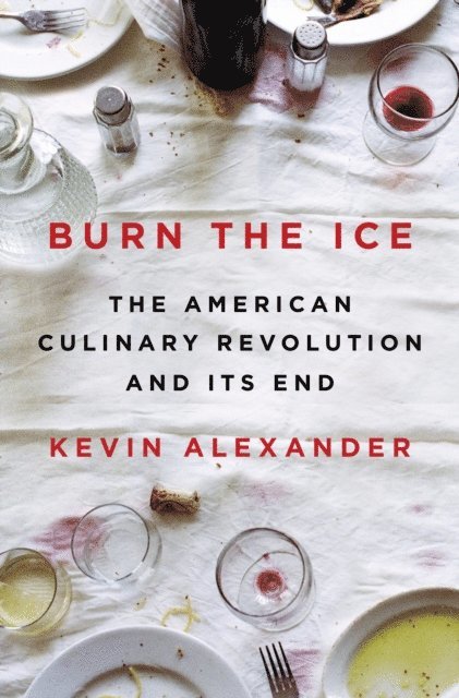 Kevin Alexander - Burn the Ice, E-bok