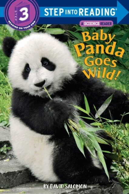 David Salomon - Baby Panda Goes Wild!, E-bok