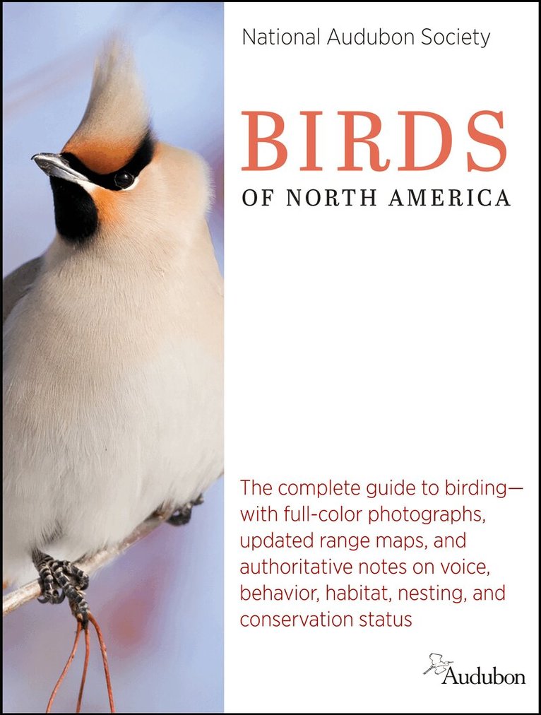 National Audubon Society - National Audubon Society Master Guide to Birds, Inbunden