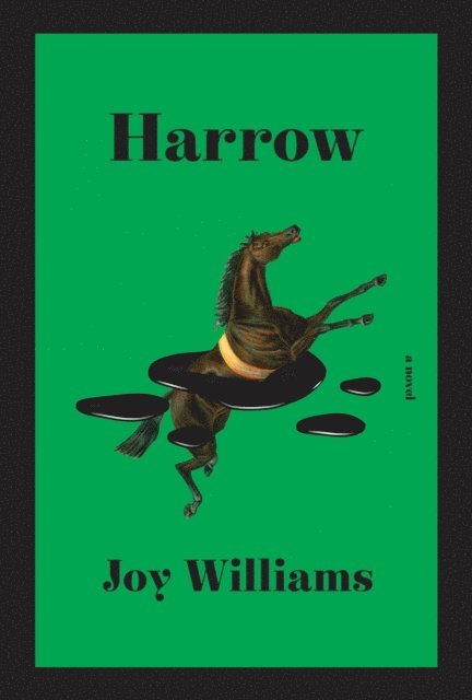 Joy Williams - Harrow, E-bok