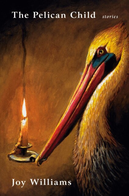 Joy Williams - Pelican Child, E-bok