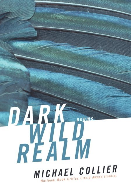 Michael Collier - Dark Wild Realm, E-bok