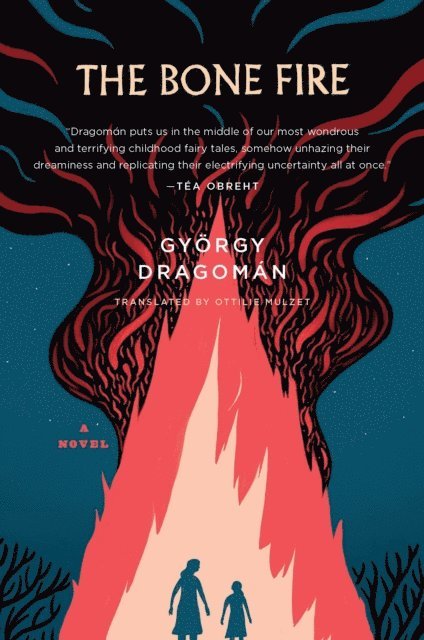 Gyorgy Dragoman - Bone Fire, E-bok