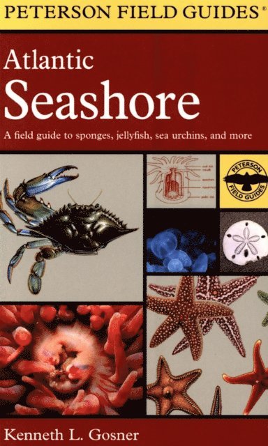 Kenneth L. Gosner, Roger Tory Peterson - Atlantic Seashore, E-bok