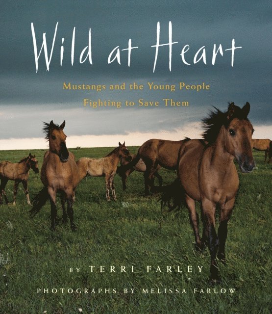 Terri Farley - Wild at Heart, E-bok