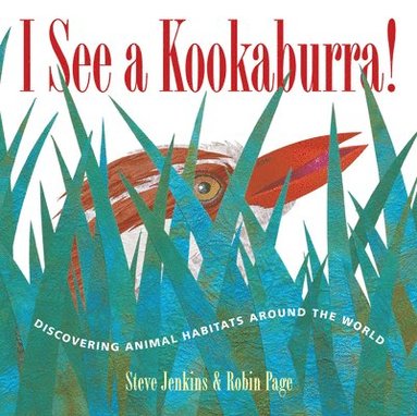 Steve Jenkins, Robin Page - I See a Kookaburra!, Häftad
