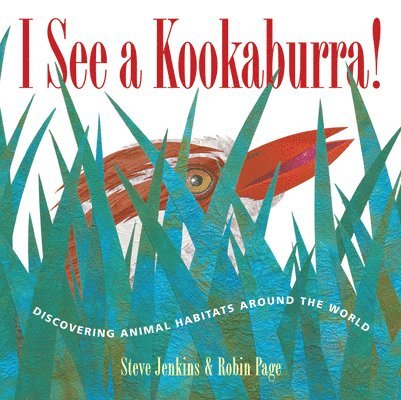 Steve Jenkins, Robin Page - I See a Kookaburra!, Häftad