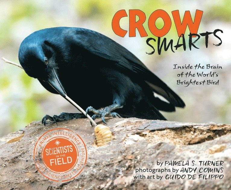 Pamela S. Turner - Crow Smarts, E-bok