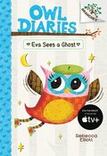 Eva Sees a Ghost: A Branches Book (Owl Diaries #2)