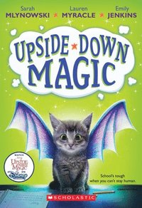 Upside-Down Magic (Upside-Down Magic #1)