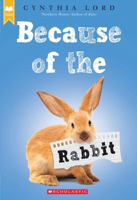 Cynthia Lord - Because of the Rabbit, Häftad