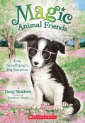 Evie Scruffypup's Big Surprise (Magic Animal Friends #10): Volume 1