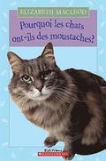 Pourquoi Les Chats Ont-Ils Des Moustaches?