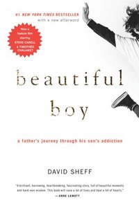 Beautiful Boy Tie In A Father S Journey Through His Son