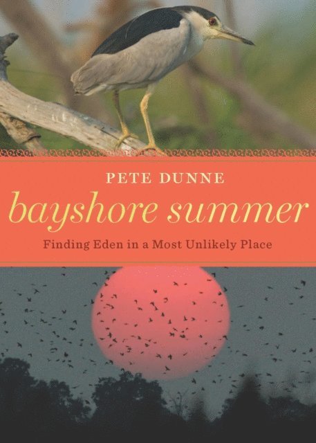 Pete Dunne - Bayshore Summer, E-bok