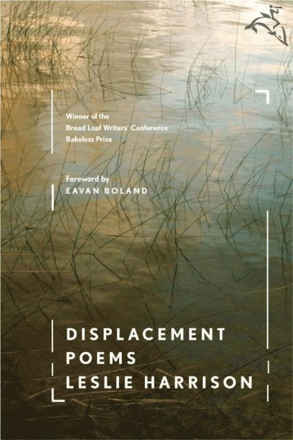 Leslie Harrison - Displacement, E-bok