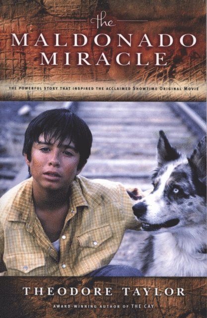 Theodore Taylor - Maldonado Miracle, E-bok