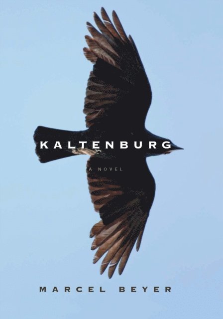 Marcel Beyer - Kaltenburg, E-bok