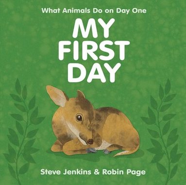 Steve Jenkins, Robin Page - My First Day, Inbunden