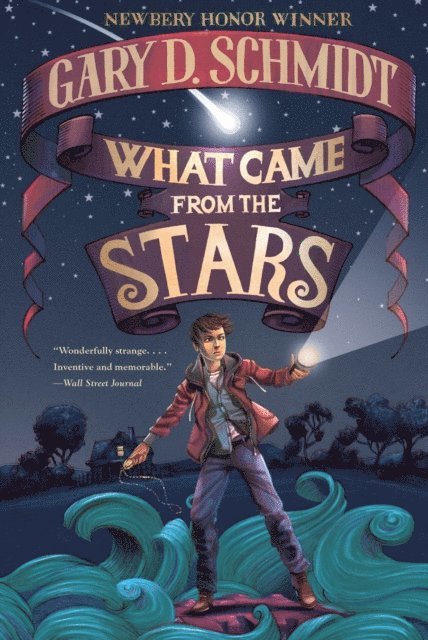 Gary D. Schmidt - What Came from the Stars, E-bok