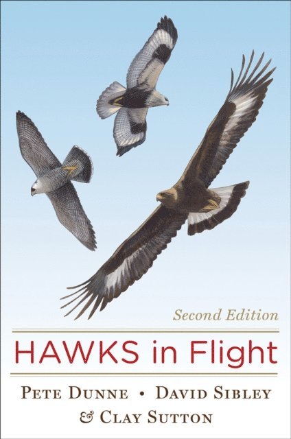 Clay Sutton, David Sibley, Pete Dunne - Hawks In Flight, E-bok