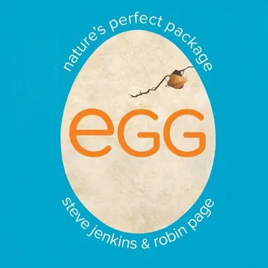 Robin Page, Steve Jenkins - Egg: Nature's Perfect Package, Inbunden
