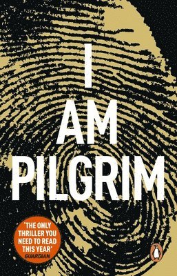 Terry Hayes - I Am Pilgrim, Häftad