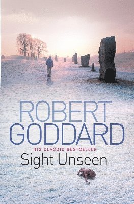 Sight Unseen av Robert Goddard