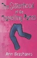 Summers of the Sisterhood: The Sisterhood of the Travelling Pants