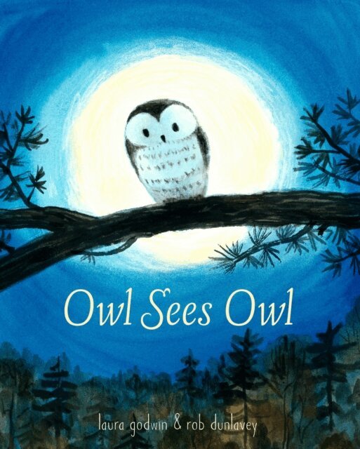 Rob Dunlavey, Laura Godwin - Owl Sees Owl, E-bok
