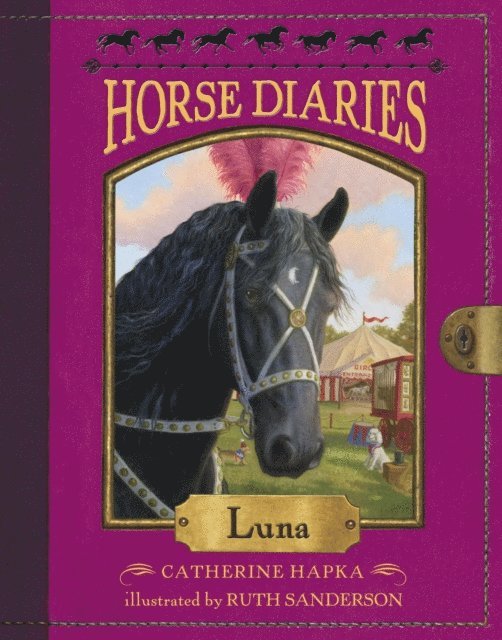 Catherine Hapka - Horse Diaries #12: Luna, E-bok