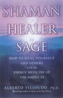 Shaman, Healer, Sage