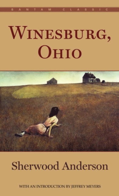 Sherwood Anderson - Winesburg, Ohio, E-bok